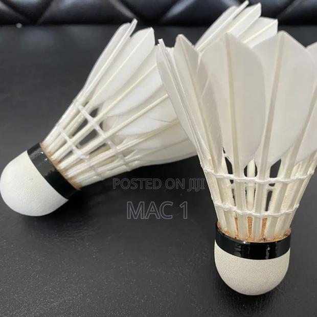 Durable Plastic Feather Shuttlecocks – Long Lasting - main view