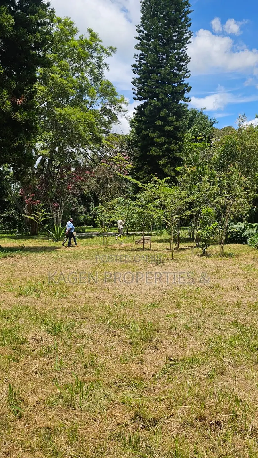2.2 Acres Land in Karen for Sale