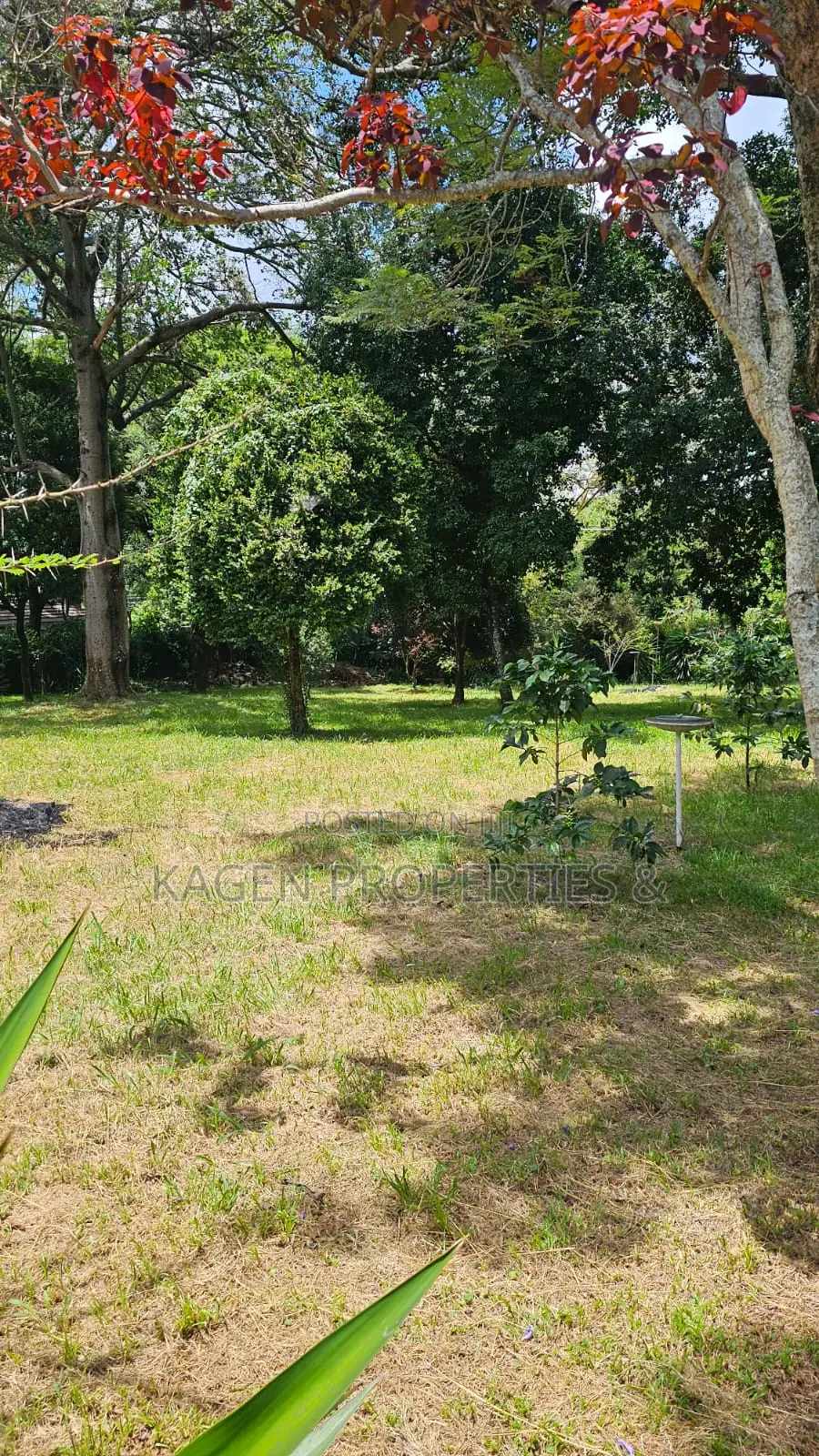 2.2 Acres Land in Karen for Sale