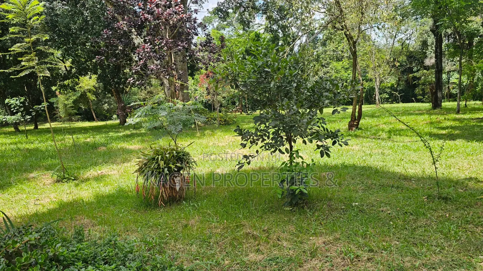 2.2 Acres Land in Karen for Sale