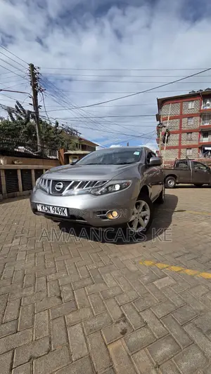 Nissan Murano 2010 Gray