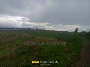 45 Acres Kariguini Kieni Nyeri.
