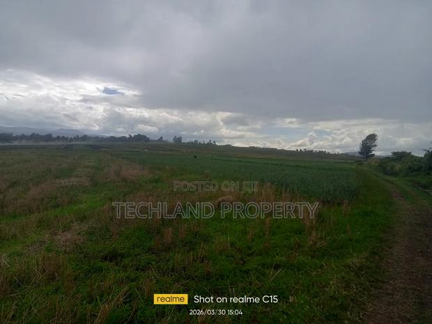 45 Acres Kariguini Kieni Nyeri. - thumbnail 2