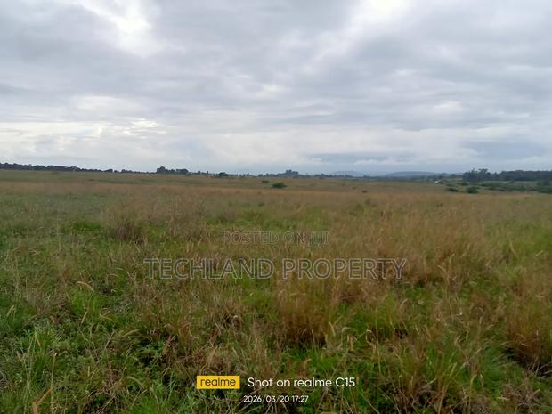 45 Acres Kariguini Kieni Nyeri. - thumbnail 3