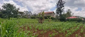 Quarter Acre Plot for Sale in Ngong Maragara Road