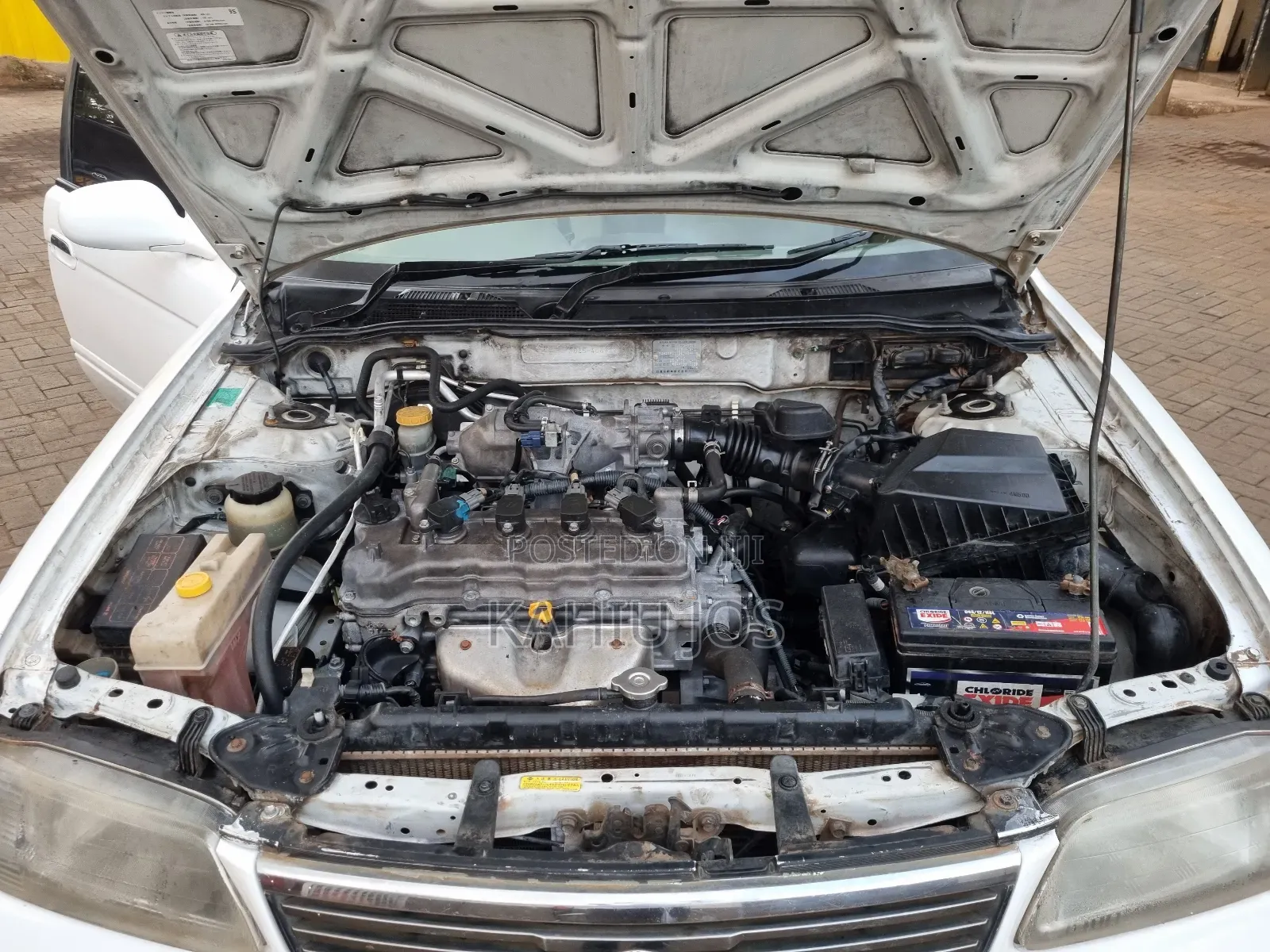 Nissan FB15 2005 White
