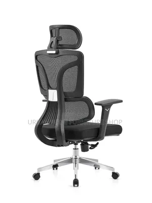 Orthopaedic Office Chair