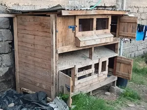 Spacious Chicken House For Sale Inchokaa