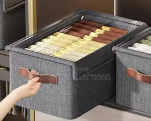 Gray Collapsible Fabric Wardrobe Organiser With a Cover