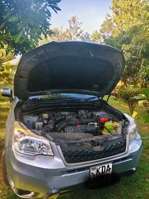 Subaru Forester 2013 Silver