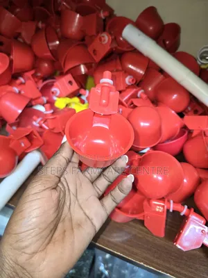 Automatic Chicken Drinker Cups With Pipe Connector