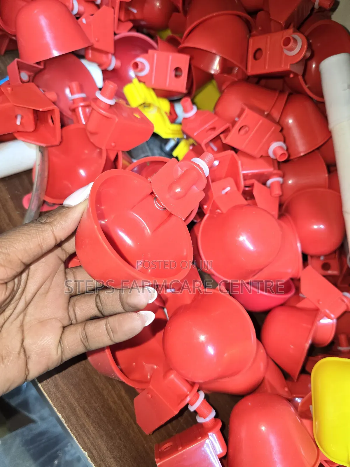 Automatic Chicken Drinker Cups With Pipe Connector