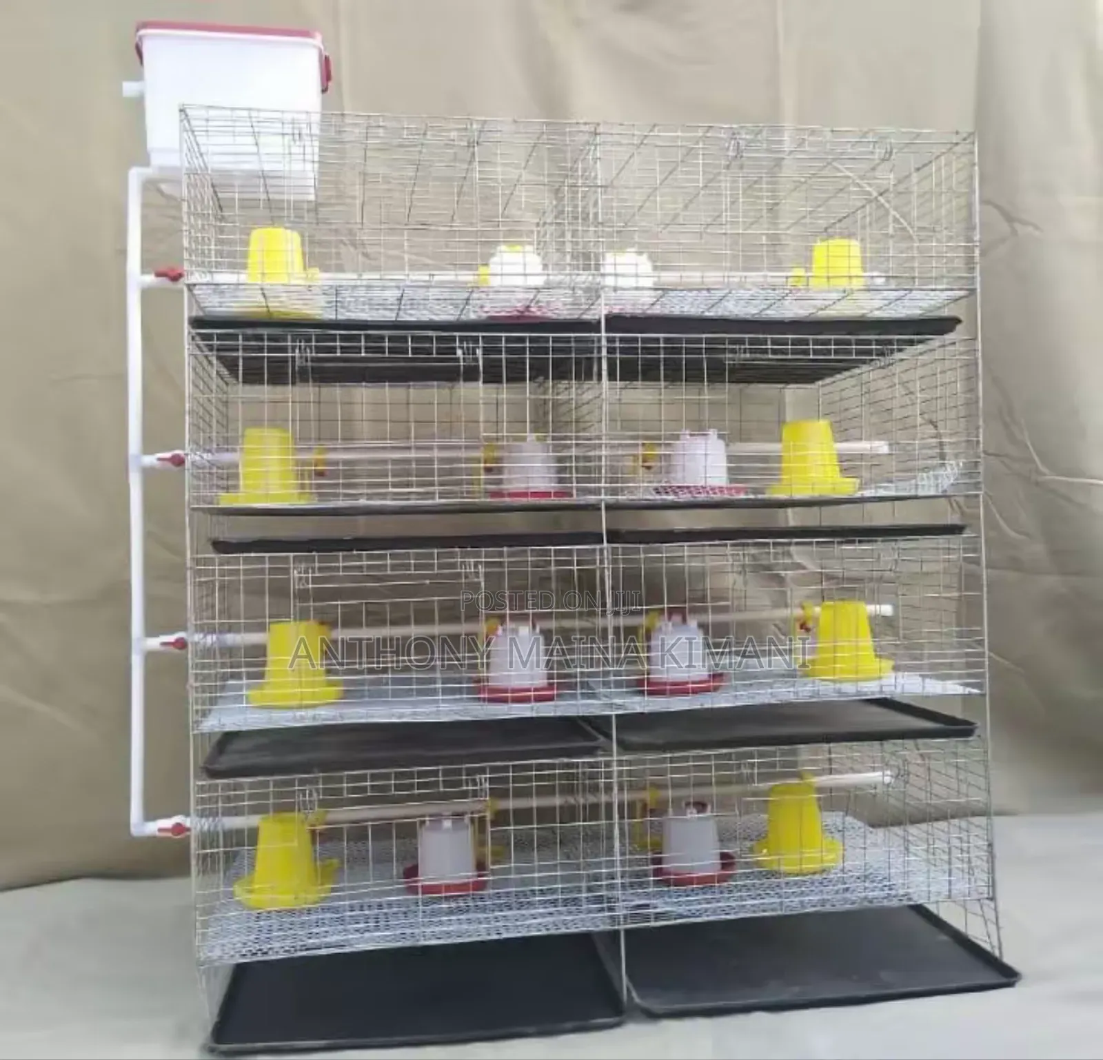Poultry, Broiler and Rabbit Cages
