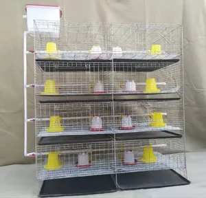Poultry, Broiler and Rabbit Cages