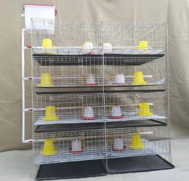 Poultry, Broiler and Rabbit Cages - thumbnail 2