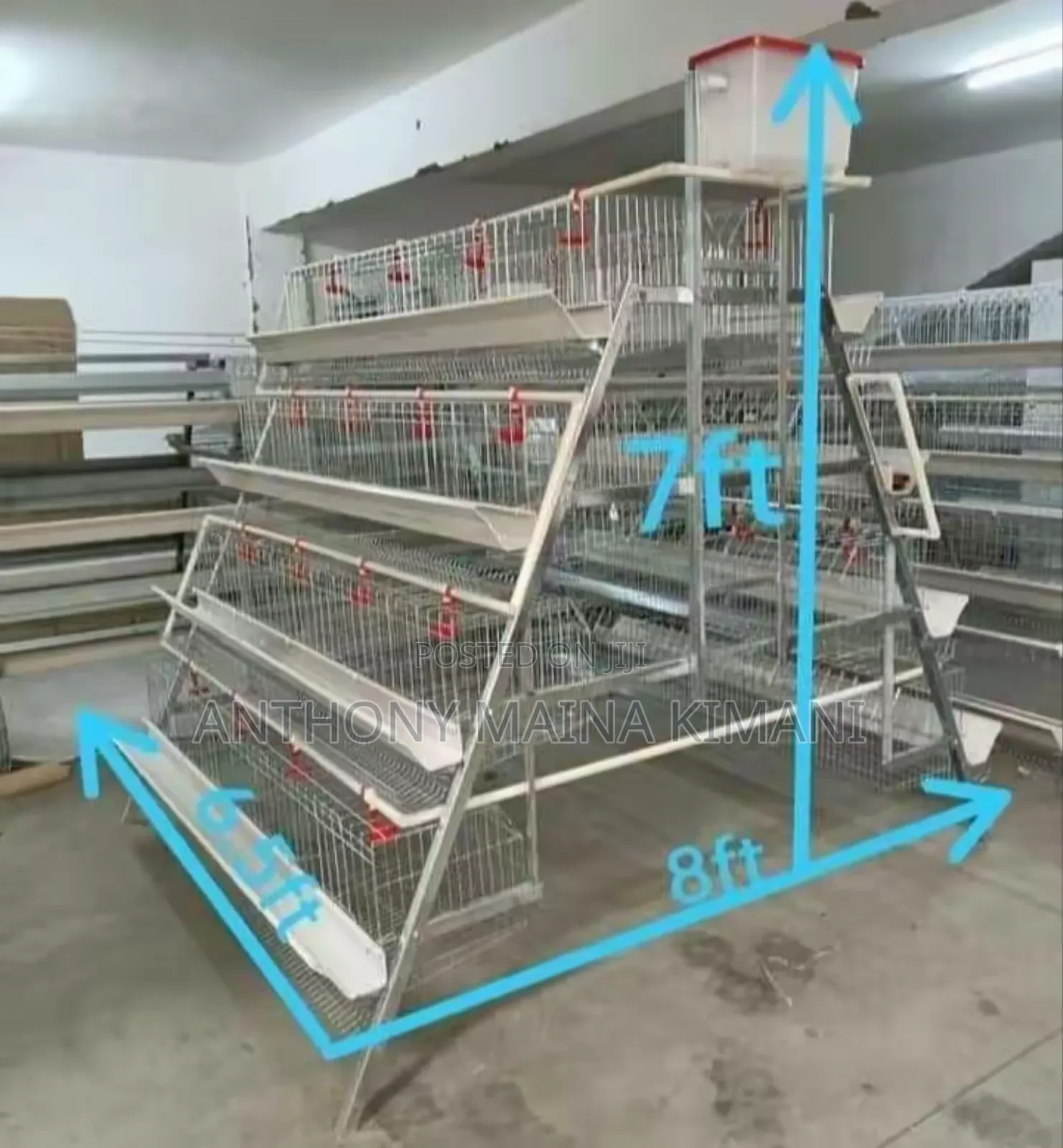 Poultry, Broiler and Rabbit Cages