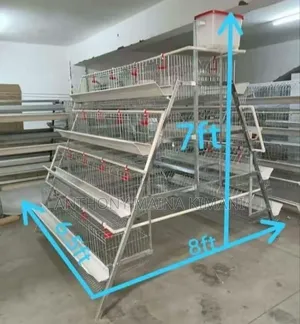 Poultry, Broiler and Rabbit Cages