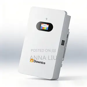 Dawnice 5kwh 51.2v 100ah Smart Battery for Small Homes