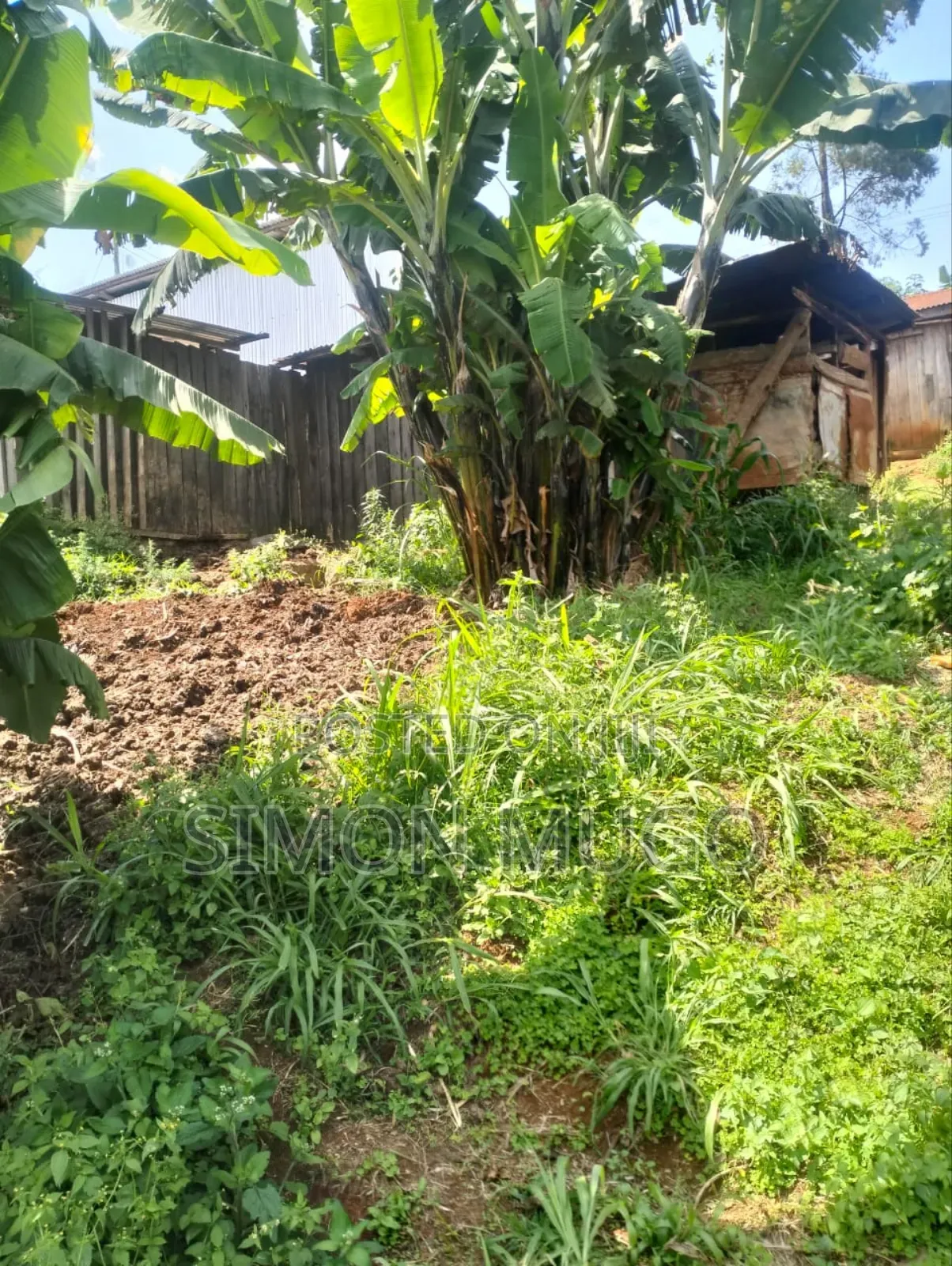 Gatundu South Itura-Mīro Prime 8.5 Acres With 20,000 Mature Tea Bushes