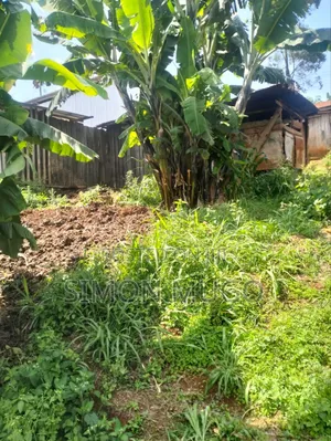 Gatundu South Itura-Mīro Prime 8.5 Acres Tea Farm