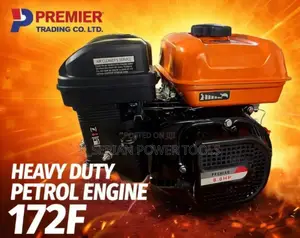 Heavy Duty Petrol Engine Powerful 8.8hp/Heavy Duty Petrol Engine