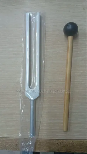 Tuning Fork 256hz(Stainless Steel)