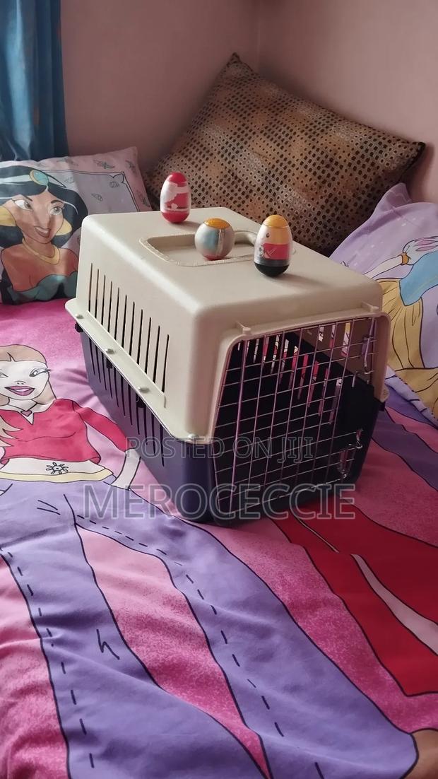 Portable Dog Pet Travel Carrier Cage 48*32*30 Plus Free Dog Fetch Toys