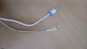 Lightening Cable ×2 (Apple)