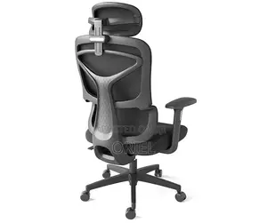 Office Chair : Executive Office Ergonomic High-Back Chair