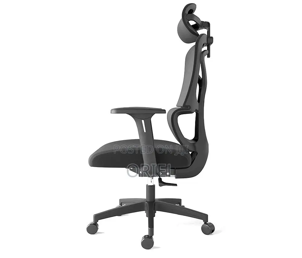 Office Chair : Executive Office Ergonomic High-Back Chair