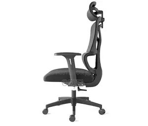 Office Chair : Executive Office Ergonomic High-Back Chair