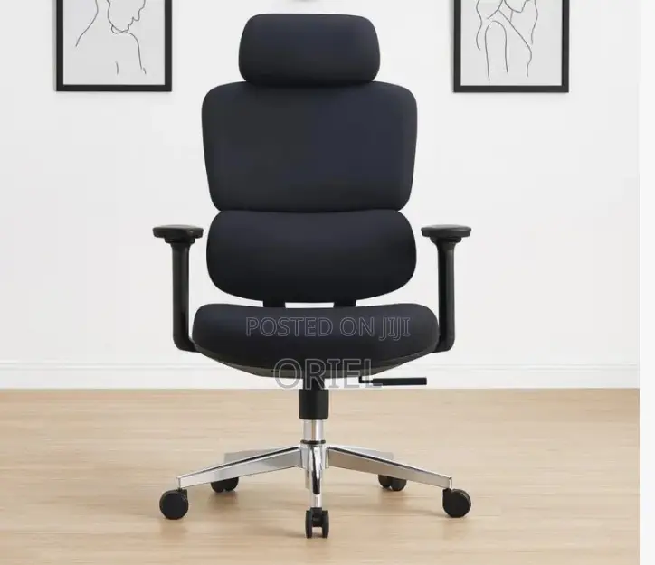 Office Chair : Executive Office Ergonomic High-Back Chair