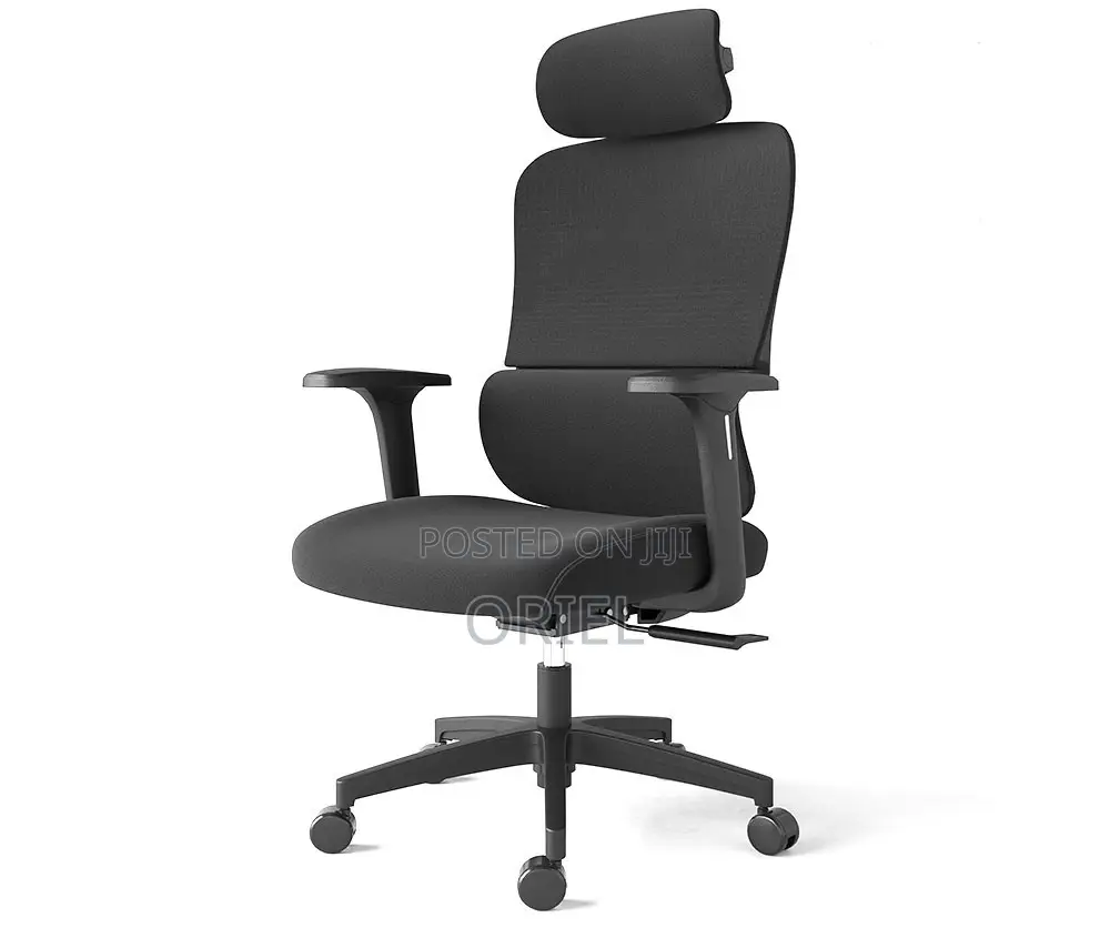 Office Chair : Executive Office Ergonomic High-Back Chair