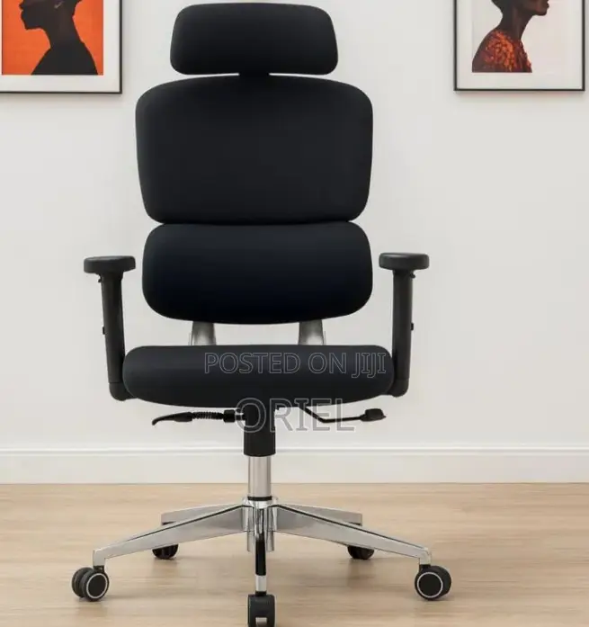 Office Chair : Executive Office Ergonomic High-Back Chair