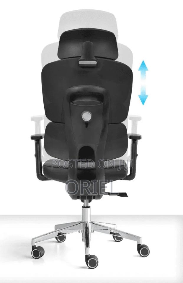 Office Chair : Executive Office Ergonomic High-Back Chair - thumbnail 10