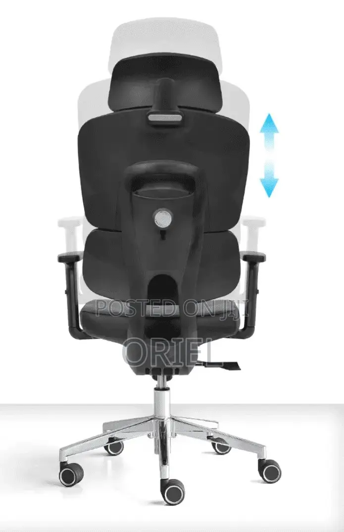 Office Chair : Executive Office Ergonomic High-Back Chair