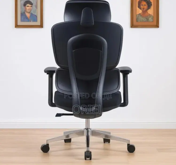 Office Chair : Executive Office Ergonomic High-Back Chair