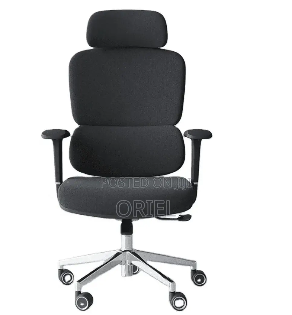 Office Chair : Executive Office Ergonomic High-Back Chair