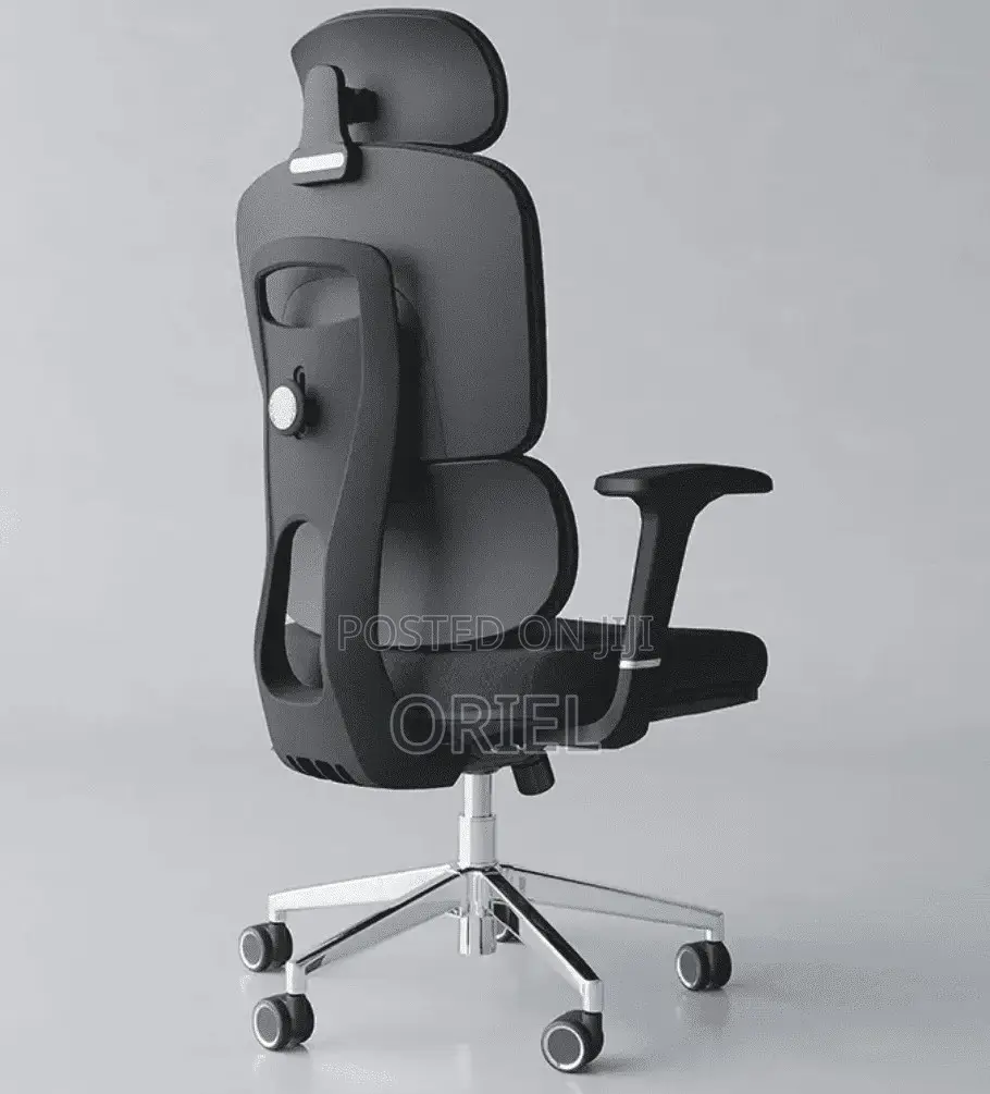 Office Chair : Executive Office Ergonomic High-Back Chair