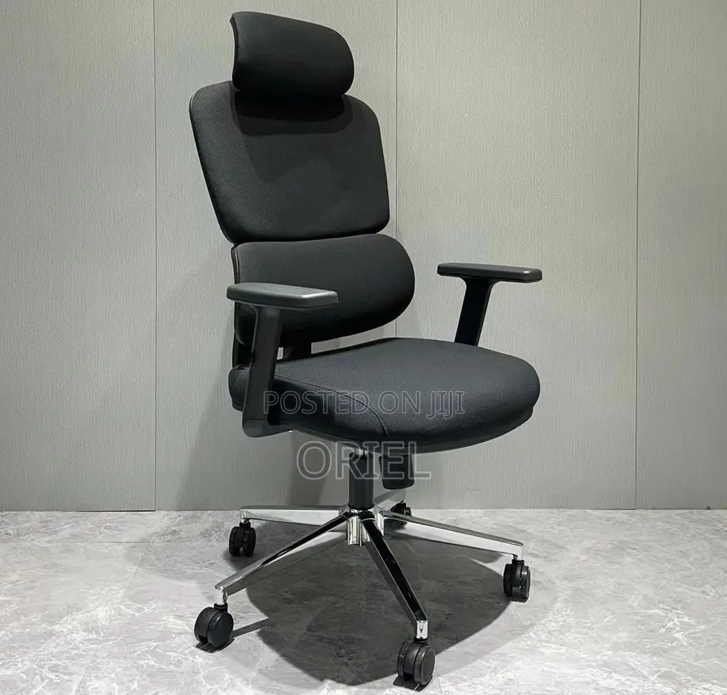 Office Chair : Executive Office Ergonomic High-Back Chair