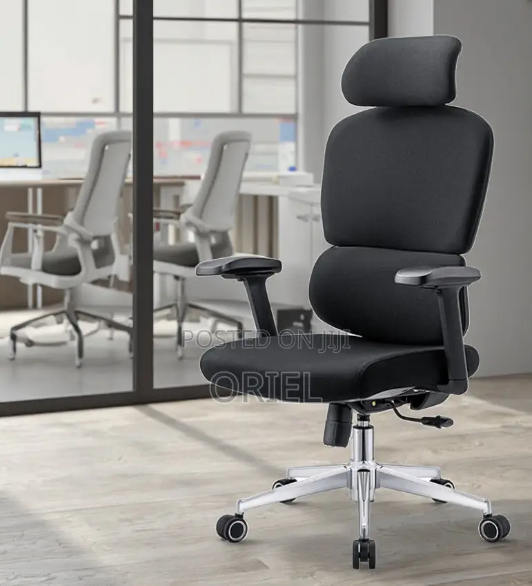 Office Chair : Executive Office Ergonomic High-Back Chair