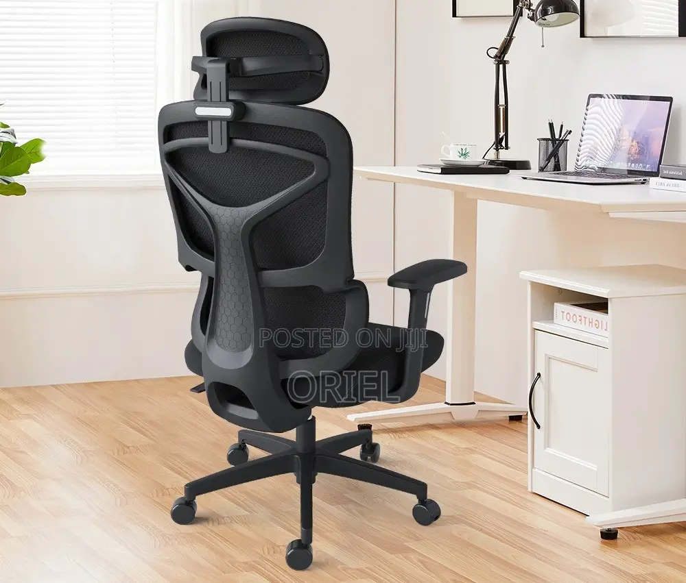 Office Chair : Executive Office Ergonomic High-Back Chair