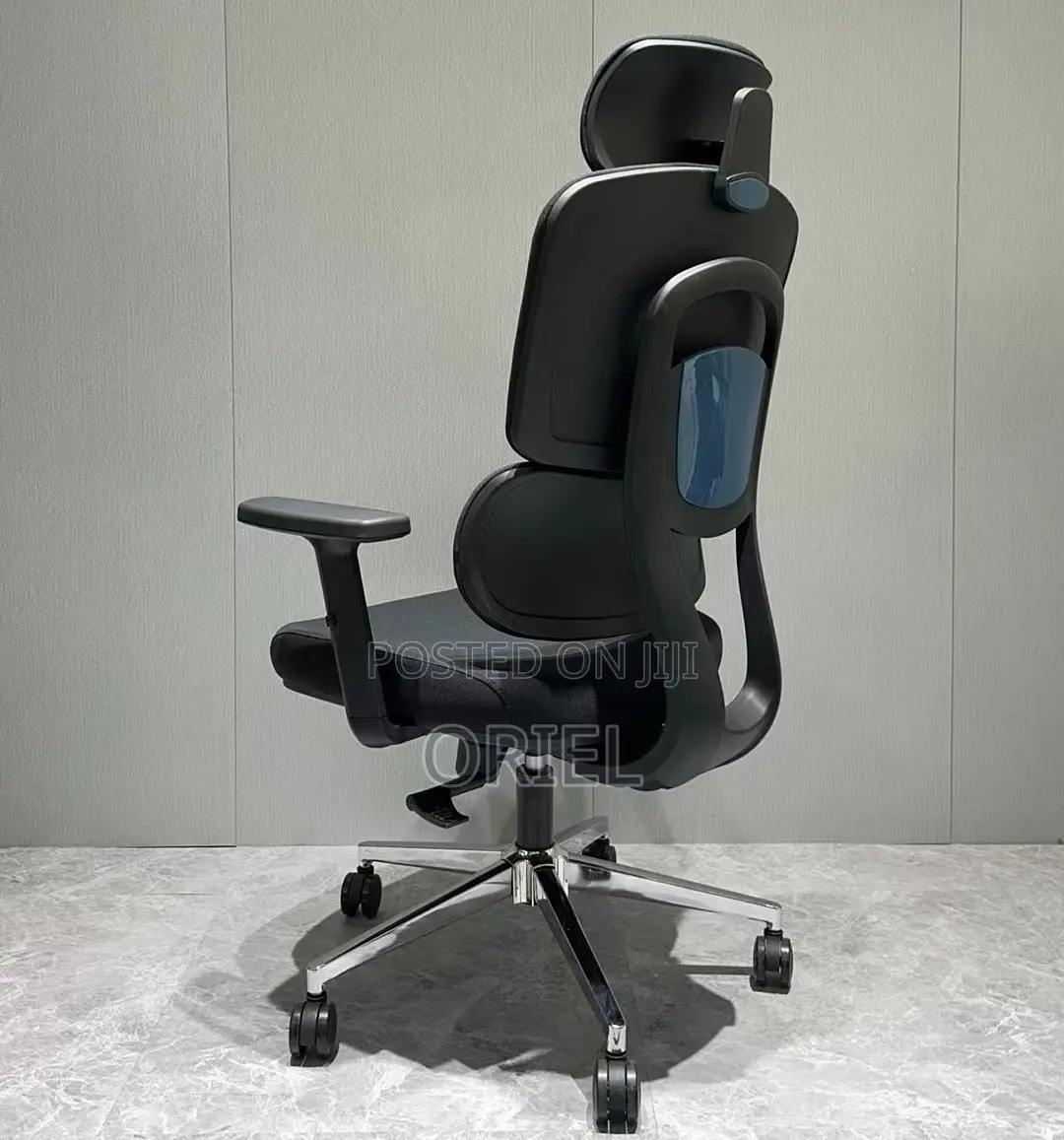 Office Chair : Executive Office Ergonomic High-Back Chair