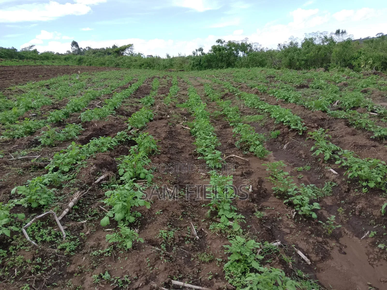 2 Acres on Sale