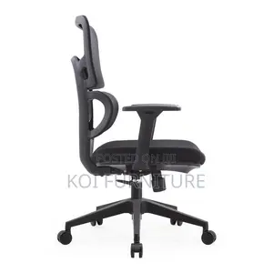 Office Chairs; Professional Elegance Orthopedic High Back Seats