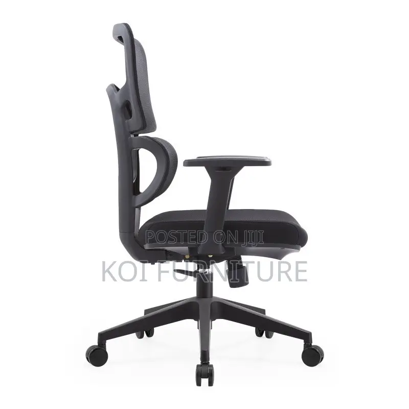 Office Chairs; Professional Elegance Orthopedic High Back Seats