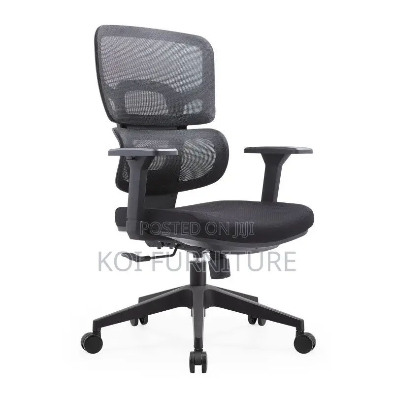 Office Chairs; Professional Elegance Orthopedic High Back Seats
