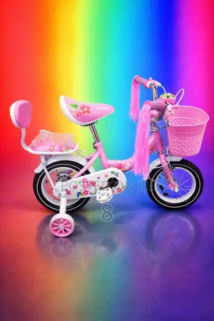 12 Inch Bicycle for Kids – Stable Easy Control