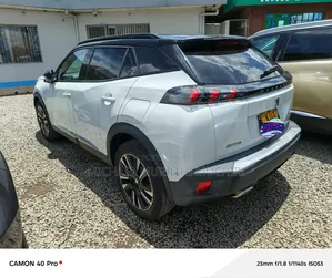 Peugeot 2008 2021 White
