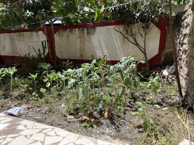 5bdrm Maisonette in Utawala for rent - thumbnail 18